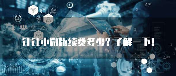 钉钉小微版续费多少?了解一下!
