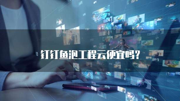 钉钉鱼泡工程云便宜吗?