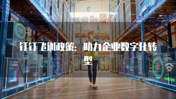 钉钉飞训政策:助力企业数字化转型