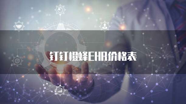 钉钉橙蜂EHR价格表