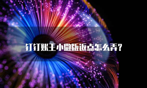 钉钉账王小微版返点怎么弄?