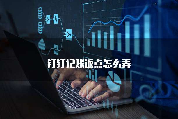 钉钉记账返点怎么弄