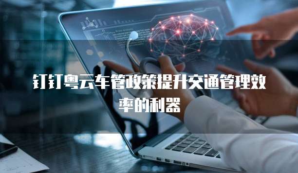 钉钉粤云车管政策提升交通管理效率的利器