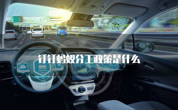 钉钉蚂蚁分工政策是什么