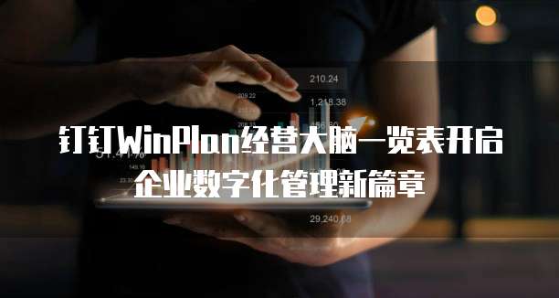钉钉WinPlan经营大脑一览表开启企业数字化管理新篇章