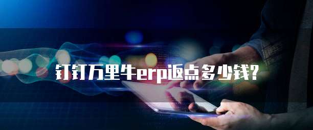 钉钉万里牛erp返点多少钱?