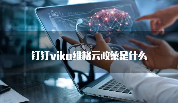 钉钉vika维格云政策是什么