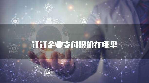钉钉企业支付报价在哪里