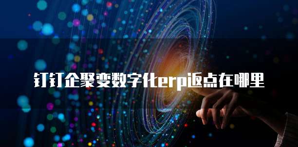 钉钉企聚变数字化erp返点在哪里