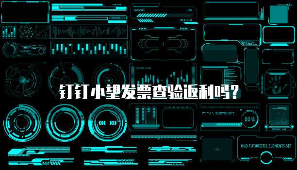 钉钉小望发票查验返利吗?