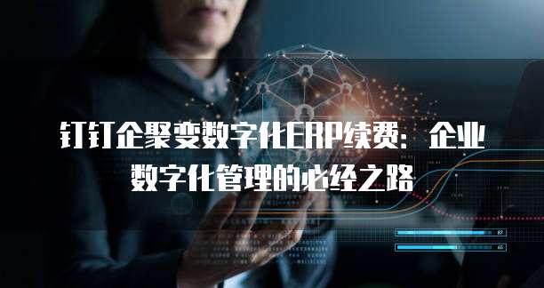 钉钉企聚变数字化ERP续费:企业数字化管理的必经之路