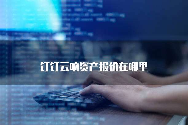 钉钉云呐资产报价在哪里