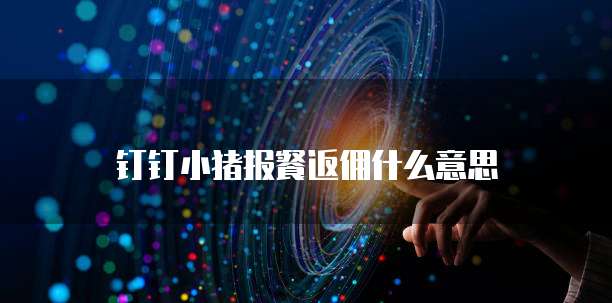 钉钉小猪报餐返佣什么意思