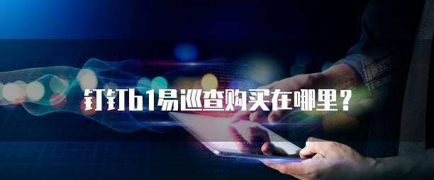 钉钉b1易巡查购买在哪里?
