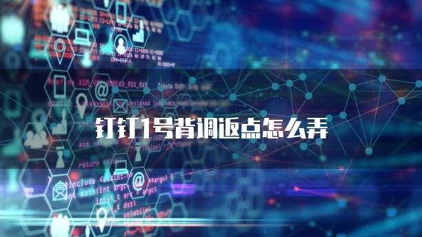 钉钉1号背调返点怎么弄