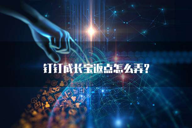 钉钉成长宝返点怎么弄?