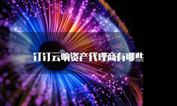 钉钉云呐资产代理商有哪些