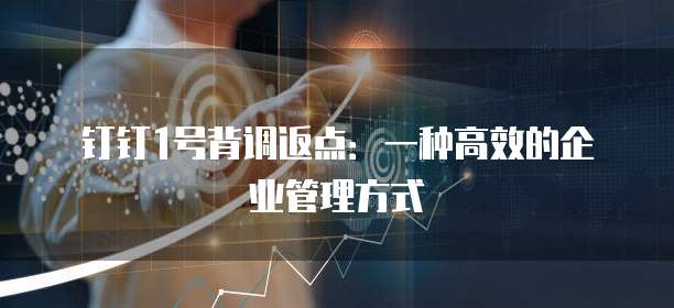 钉钉1号背调返点:一种高效的企业管理方式