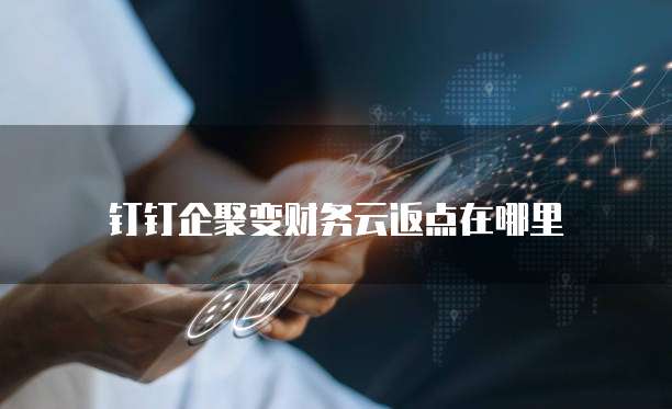 钉钉企聚变财务云返点在哪里
