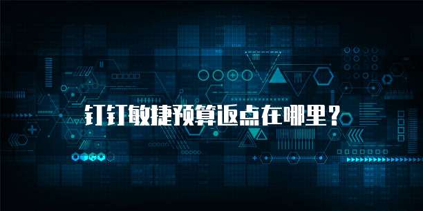 钉钉敏捷预算返点在哪里?
