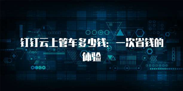 钉钉云上管车多少钱:一次省钱的体验
