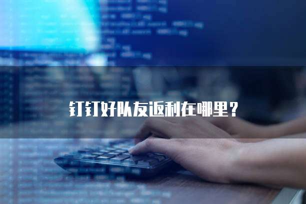 钉钉好队友返利在哪里？