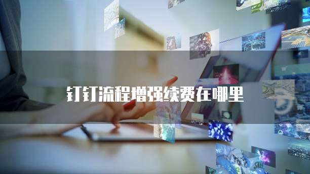 钉钉流程增强续费在哪里