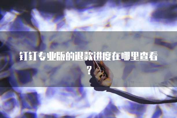 钉钉专业版的退款进度在哪里查看？