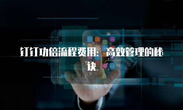钉钉功倍流程费用:高效管理的秘诀