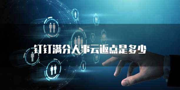 钉钉满分人事云返点是多少