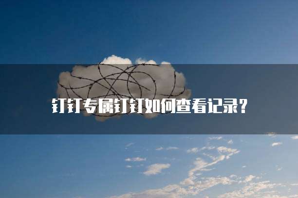 钉钉专属钉钉如何查看记录?