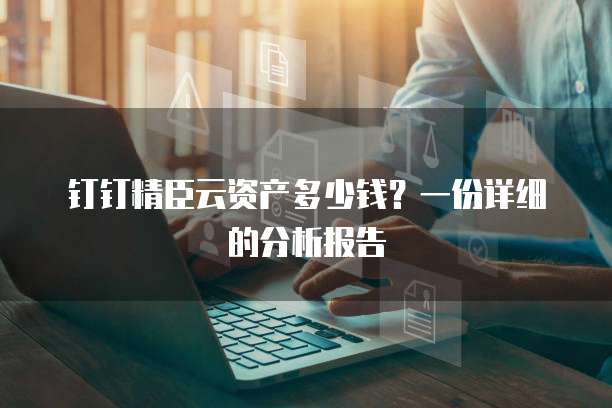 钉钉精臣云资产多少钱?一份详细的分析报告