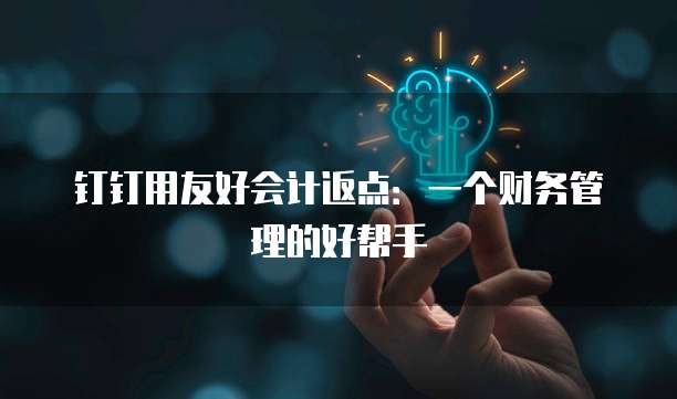 钉钉用友好会计返点:一个财务管理的好帮手