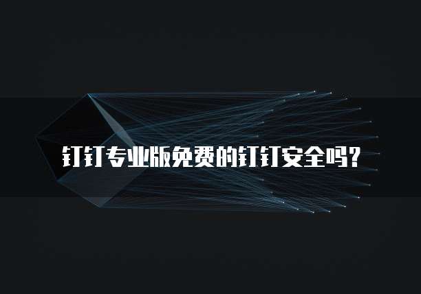 钉钉专业版免费的钉钉安全吗?