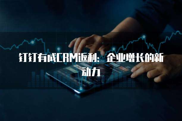钉钉有成CRM返利:企业增长的新动力