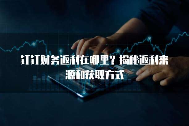 钉钉财务返利在哪里?揭秘返利来源和获取方式