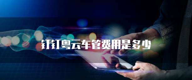 钉钉粤云车管费用是多少