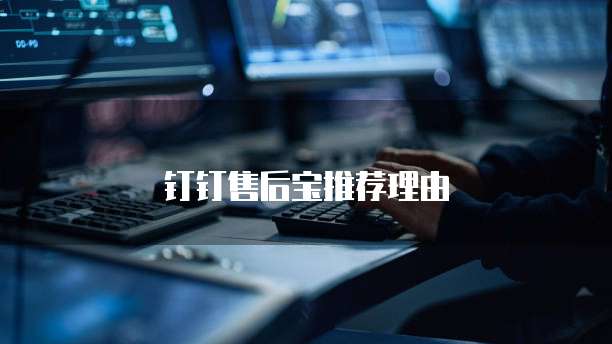 钉钉售后宝推荐理由