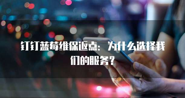 钉钉蓝莓维保返点:为什么选择我们的服务?