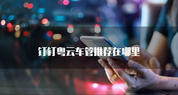 钉钉粤云车管推荐在哪里