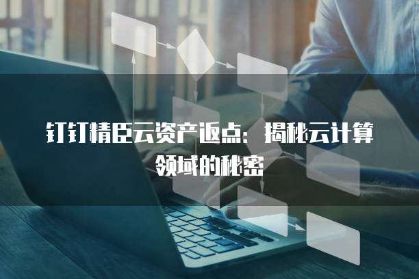 钉钉精臣云资产返点:揭秘云计算领域的秘密