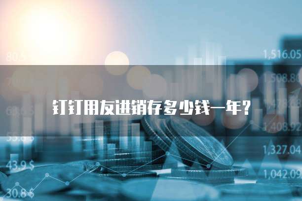 钉钉用友进销存多少钱一年?