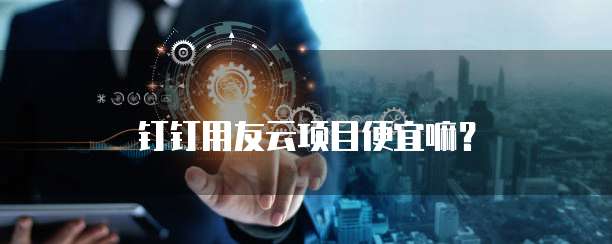 钉钉用友云项目便宜嘛？