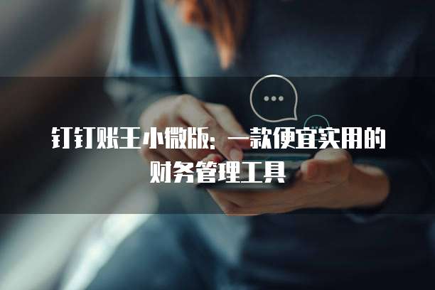 钉钉账王小微版: 一款便宜实用的财务管理工具