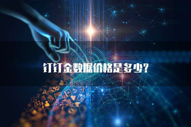 钉钉金数据价格是多少?
