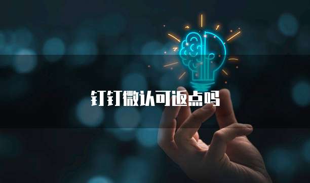 钉钉微认可返点吗
