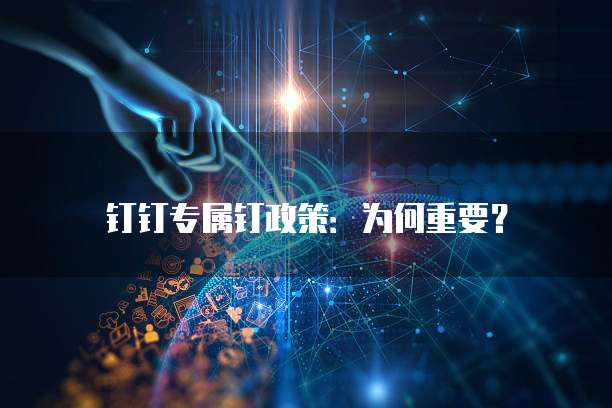 钉钉专属钉政策:为何重要?