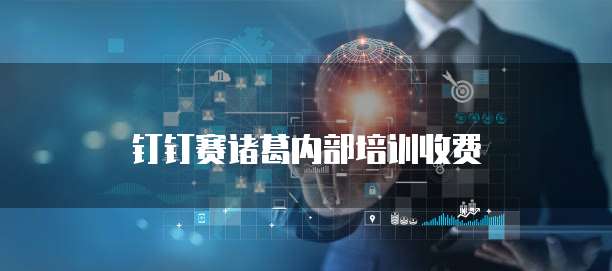 钉钉赛诸葛内部培训收费