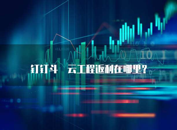钉钉斗栃云工程返利在哪里?