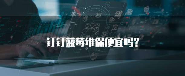 钉钉蓝莓维保便宜吗？